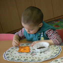 ЭСТЕТИЧЕСКОЕ РАЗВИТИЕ 1 УРОВЕНЬ_1_7